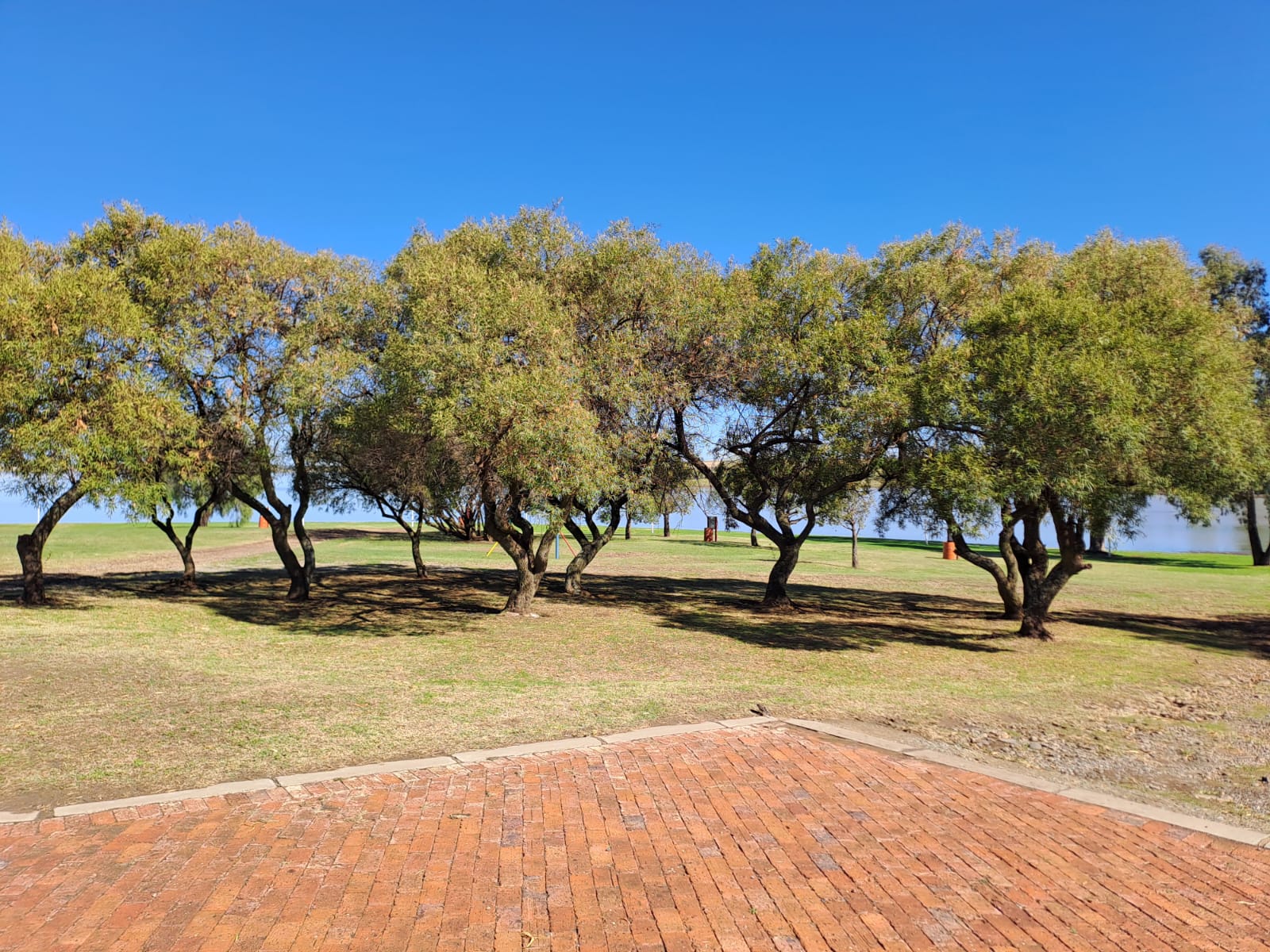 Shady trees and grassy grounds beside the water